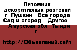 Питомник декоративных растений г. Пушкин - Все города Сад и огород » Другое   . Амурская обл.,Тында г.